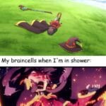 Anime Memes Anime,  text: My braincells when I