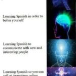 History Memes History, Spanish, French, Argentina, English, German text: Learning Spanish because your school makes you Learning Spanish in order to better yourself Learning Spanish to communicate with new and interesting people Learning Spanish so you can yell at Argentines online about who owns the Falklands 