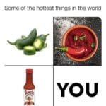 Wholesome Memes Wholesome memes,  text: Some of the hottest things in the world YOU  Wholesome memes, 
