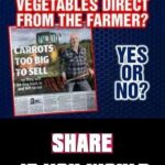 boomer memes Political,  text: WOULD YOU BUY "SLIGHTLY IMPERFECT" VEGETABLES DIRECT FROM-THE FARMER? ROTS TOOOIG . SO they be dug back in and left to rot 