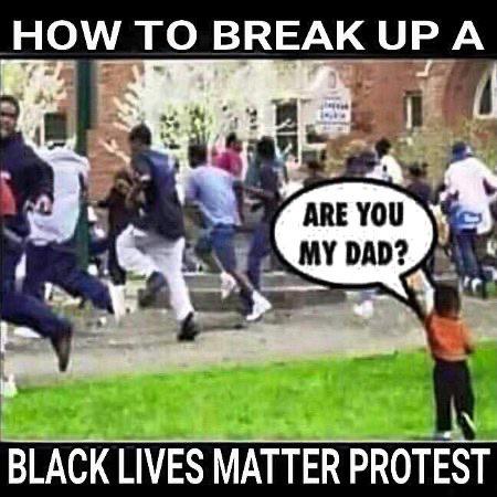 Political, BLM boomer memes Political, BLM text: HOW TO BREAK UP A ARE YOU MY DAD? BLACK LIVES MATTER PROTEST 