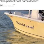 other memes Funny, Scott, Unsinkable, Thats, Micheal Scott, Master Baiter text: The perfect boat name doesn