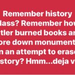 boomer memes Political, Sorry, Hitler text: Remember history class? Remember how Hitler burned books and tore down monuments in an attempt to erase history? Hmm...deja vu.  Political, Sorry, Hitler