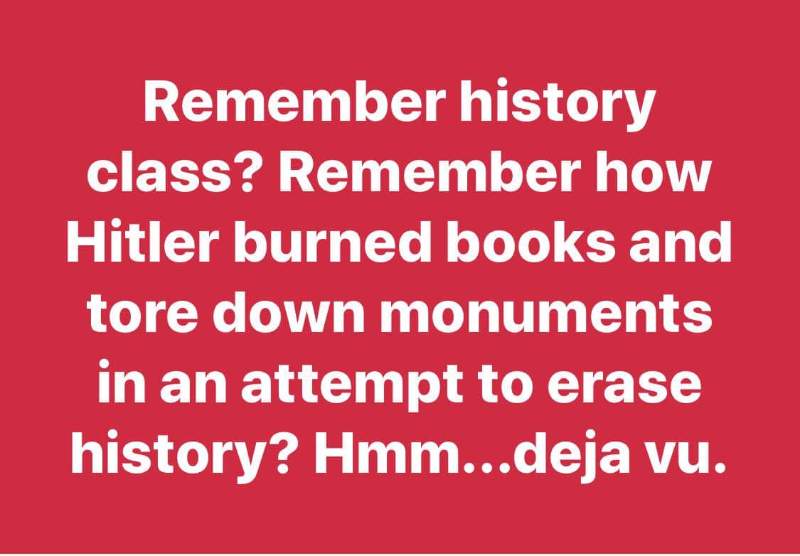 Political, Sorry, Hitler boomer memes Political, Sorry, Hitler text: Remember history class? Remember how Hitler burned books and tore down monuments in an attempt to erase history? Hmm...deja vu. 