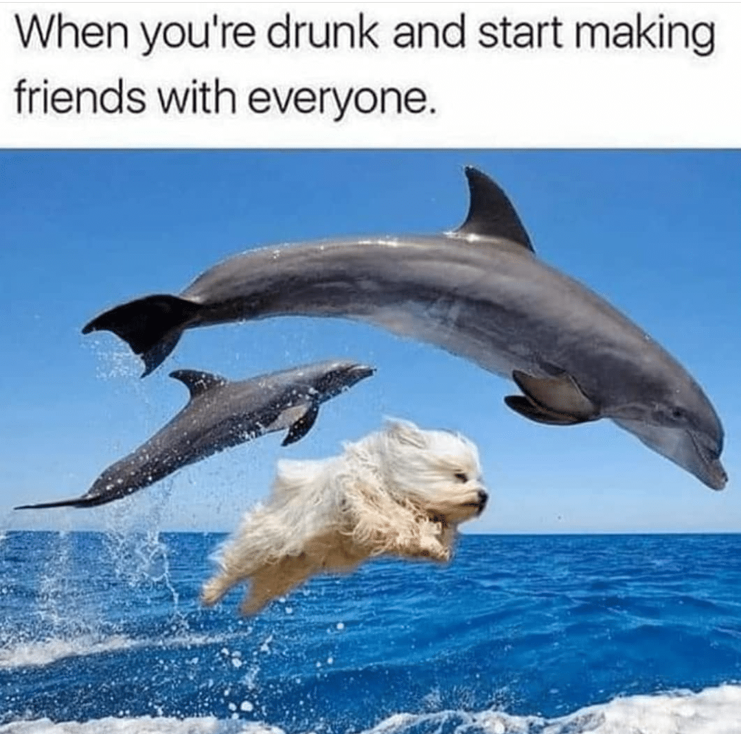 Wholesome memes, Gives Wholesome Memes Wholesome memes, Gives text: When you're drunk and start making friends with everyone. 