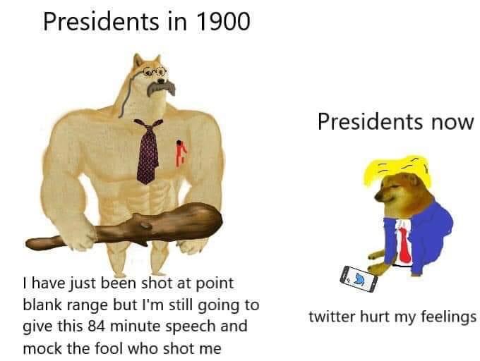 Political, Teddy, Trump, FDR, American Political Memes Political, Teddy, Trump, FDR, American text: Presidents in 1900 I have just been shot at point blank range but I'm still going to give this 84 minute speech and mock the fool who shot me Presidents now twitter hurt my feelings 