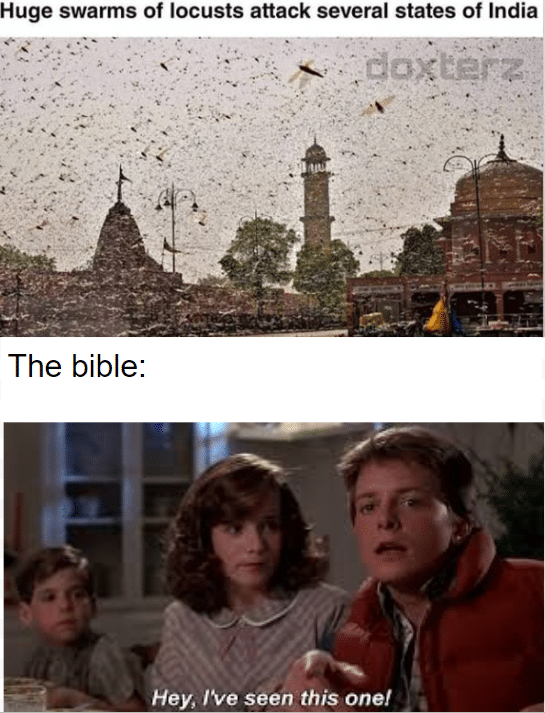 Christian,  Christian Memes Christian,  text: Huge swarms of locusts attack several states of India , cibxEErz The bible: Hey, IVe seen this one! 