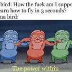Spongebob Memes Spongebob, Squidward text: Kid bird: How the fuck am I supposed to learn how to fly in 3 seconds? Mama bird: The power within 