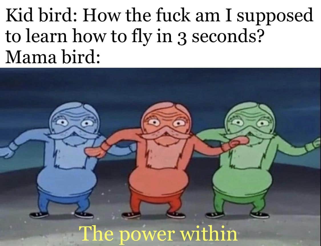 Spongebob, Squidward Spongebob Memes Spongebob, Squidward text: Kid bird: How the fuck am I supposed to learn how to fly in 3 seconds? Mama bird: The power within 