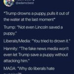 Political Memes Political, Trump, Antifa text: Adam Best @adamcbest *Trump drowns a puppy, pulls it out of the water at the last moment* Trump: "Not even Lincoln saved a puppy." Liberals/Media: "You tried to drown it." Hannity: "The fake news media won