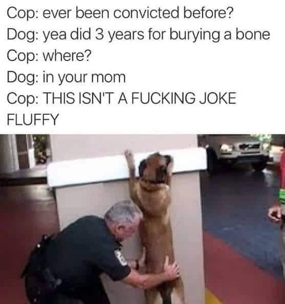 Dank,  other memes Dank,  text: Cop: ever been convicted before? Dog: yea did 3 years for burying a bone Cop: where? Dog: in your mom Cop: THIS ISN'T A FUCKING JOKE FLUFFY 