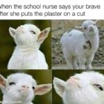 Wholesome Memes Wholesome memes, European text: When the school nurse says your brave after she puts the plaster on a cut made ith mematic  Wholesome memes, European