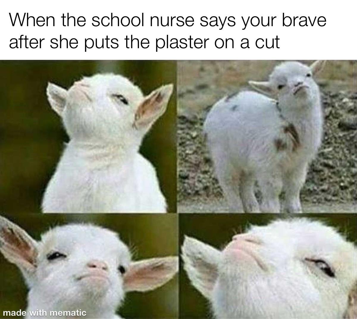 Wholesome memes, European Wholesome Memes Wholesome memes, European text: When the school nurse says your brave after she puts the plaster on a cut made ith mematic 