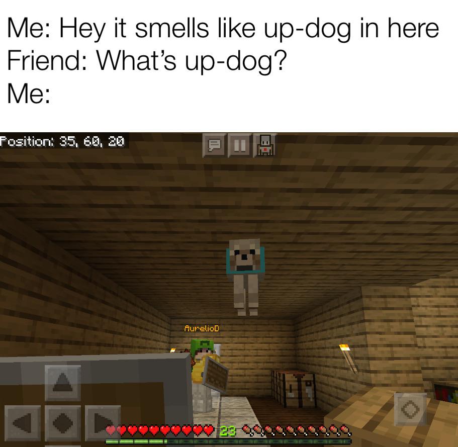 Minecraft, Whats minecraft memes Minecraft, Whats text: Me: Hey it smells like up-dog in here Friend: What's up-dog? Position; 35, SO, 23 hur•elioO 