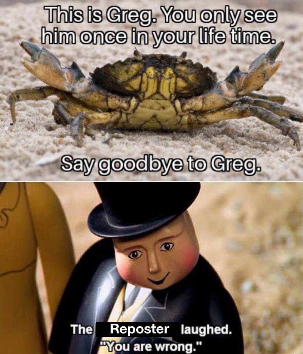 Funny, Kenobi other memes Funny, Kenobi text: This is Greg. You only see him once in your life time: Sä9 goodbye to Greg. The Reposter laughed. Zou are wrong.