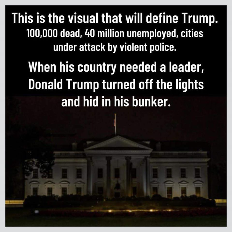 Political, White House, Nancy Pelosi, Electoral College, Biden Political Memes Political, White House, Nancy Pelosi, Electoral College, Biden text: This is the visual that will define Trump. 100,000 dead, 40 million unemployed, cities under attack by violent police. When his country needed a leader, Donald Trump turned off the lights and hid in his bunker. 