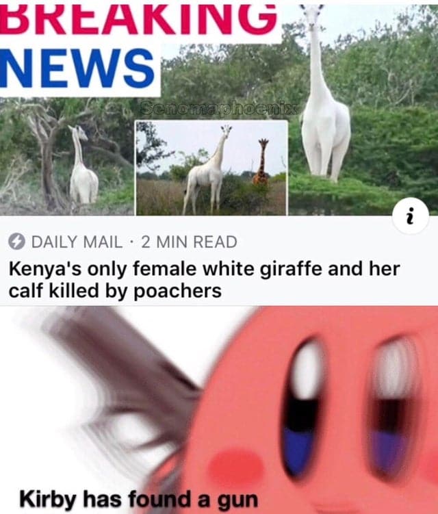Dank, Kirby other memes Dank, Kirby text: SNEAKING NEWS O DAILY MAIL • 2 MIN READ Kenya's only female white giraffe and her calf killed by poachers Kirby has found a gun 