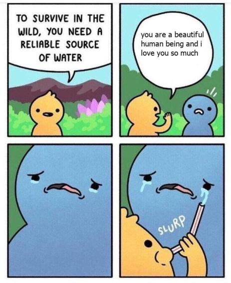 Wholesome memes,  Wholesome Memes Wholesome memes,  text: TO SURVIVE IN THE WILD, you NEED R RELIABLE SOURCE Of WRTER you are a beautiful human being and i love you so much 