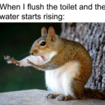 other memes Funny, Please, USA, HD, God, Australia text: When I flush the toilet and the water starts rising:  Funny, Please, USA, HD, God, Australia