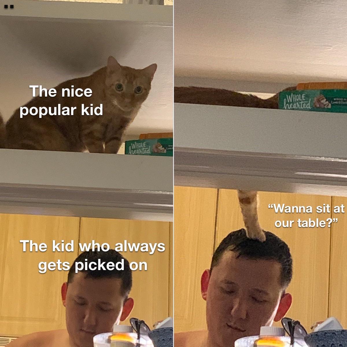 Wholesome memes, Good Wholesome Memes Wholesome memes, Good text: The nice (popular kid 