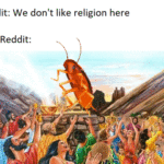 Dank Memes Dank, Br, Holy Roach, The Holy Roach, Reddit text: Reddit: We don