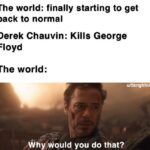 Avengers Memes Thanos, America, Russia, Canadians text: The world: finally starting to get back to normal Derek Chauvin: Kills George Floyd The world: u/Strightning /Why would you do that?  Thanos, America, Russia, Canadians