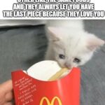 Wholesome Memes Wholesome memes, Thanks text: WHENNOU ANONOURSIGNIFICANT OTHEiilKEITHE3AMEFOODS LETiYOU,HAVE THE  Wholesome memes, Thanks