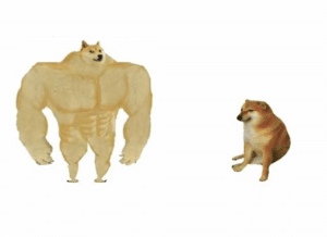 Strong doge vs. weak doge (blank) Doge meme template