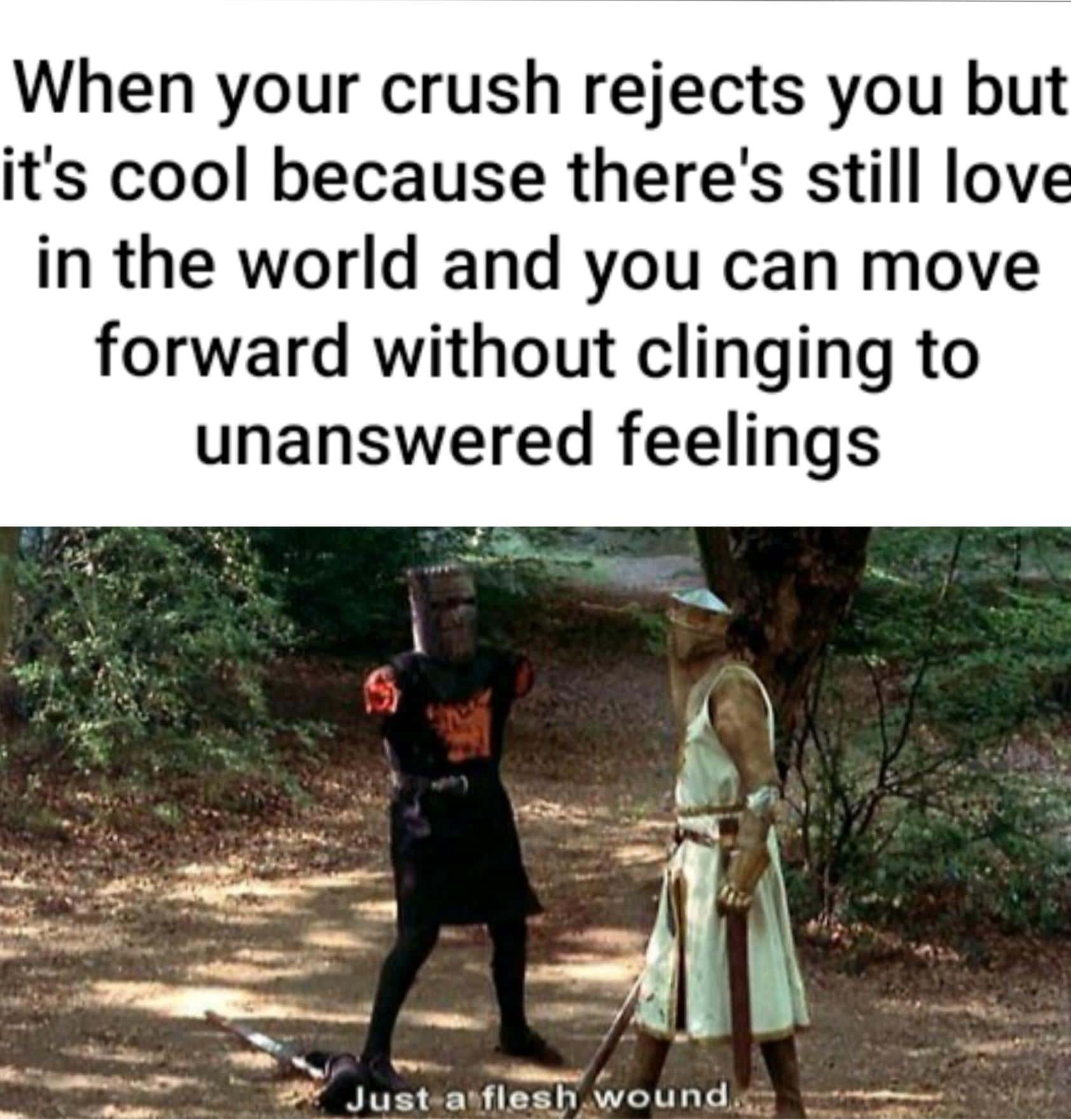 Wholesome memes, Sierra, KR, Tis, Papa, No Wholesome Memes Wholesome memes, Sierra, KR, Tis, Papa, No text: When your crush rejects you but it's cool because there's still love in the world and you can move forward without clinging to unanswered feelings 