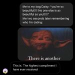 Wholesome Memes Wholesome memes, Daisy text: Me to my dog Daisy: "you