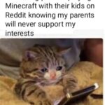 minecraft memes Minecraft,  text: Me seeing parents playing Minecraft with their kids on Reddit knowing my parents will never support my interests  Minecraft, 