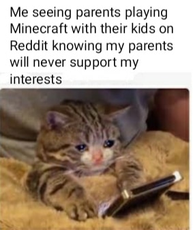 Minecraft,  minecraft memes Minecraft,  text: Me seeing parents playing Minecraft with their kids on Reddit knowing my parents will never support my interests 