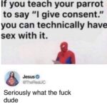Dank Memes Hold up, Wheel, Spin, HolUp, Jesus, TNkvvD text: If you teach your parrot to say "1 give consent." you can technically have sex with it. Jesuse @TheRealJC Seriously what the fuck dude  Hold up, Wheel, Spin, HolUp, Jesus, TNkvvD
