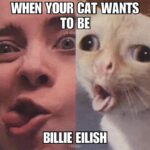 cringe memes Cringe,  text: WHENNOUR CAT WANTS TO BE BILLIE EILISH  Cringe, 