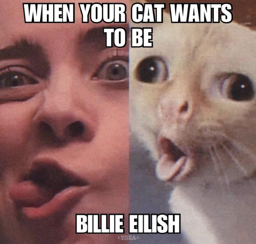 Cringe,  cringe memes Cringe,  text: WHENNOUR CAT WANTS TO BE BILLIE EILISH 