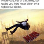 other memes Funny, No, Person, THOT, SPIDER, SHE BREATHES SHE text: When you jump off a building, but realize you were never bitten by a radioactive spider. 