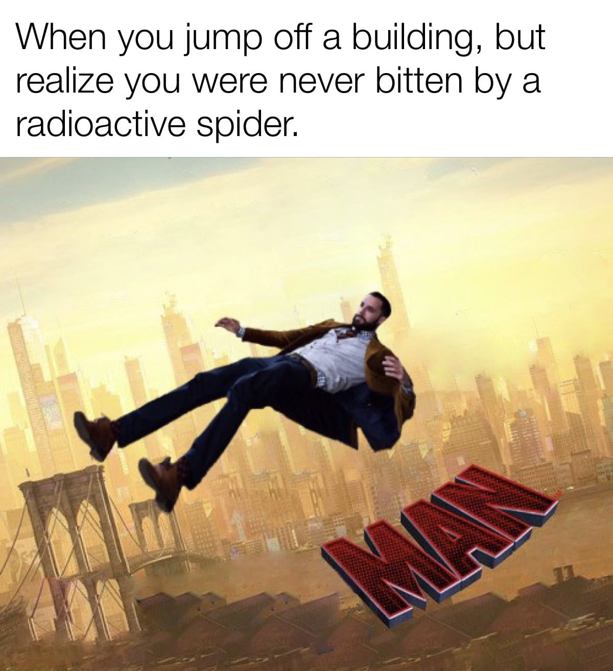 Funny, No, Person, THOT, SPIDER, SHE BREATHES SHE other memes Funny, No, Person, THOT, SPIDER, SHE BREATHES SHE text: When you jump off a building, but realize you were never bitten by a radioactive spider. 
