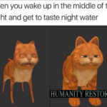 Water Memes Water, Delicious text: when you wake up in the middle of the night and get to taste night water HUMANITY RESTORED  Water, Delicious