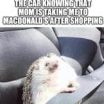 Wholesome Memes Wholesome memes, McDonald text: CHILDHOOD ME SITTING IN THE BACK OF THE CAR KNOWING THAT MOM TAKING ME TO MACDONALD