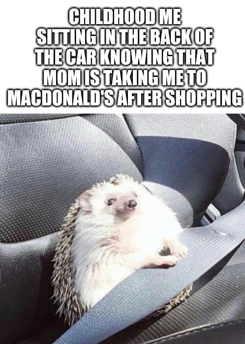 Wholesome memes, McDonald Wholesome Memes Wholesome memes, McDonald text: CHILDHOOD ME SITTING IN THE BACK OF THE CAR KNOWING THAT MOM TAKING ME TO MACDONALD'S AFTERSHOPPING 