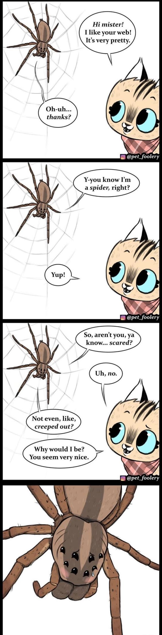 Wholesome memes, Brutus, Pixie Wholesome Memes Wholesome memes, Brutus, Pixie text: Hi mister! I like your web! It's very pretty. Oh-uh... thanks? @pet-foolery Y-you know I'm a spider, right? Yup! @pet-foolery So, aren't you, ya know... scared? Uh, no. Not even, like, creeped out? Why would I be? You seem very nice. 