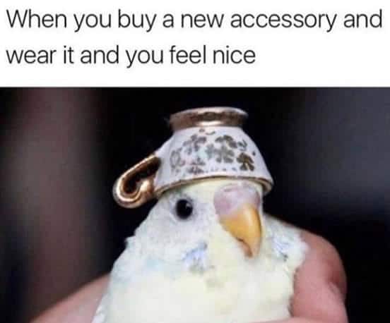 Wholesome memes,  Wholesome Memes Wholesome memes,  text: When you buy a new accessory and wear it and you feel nice 
