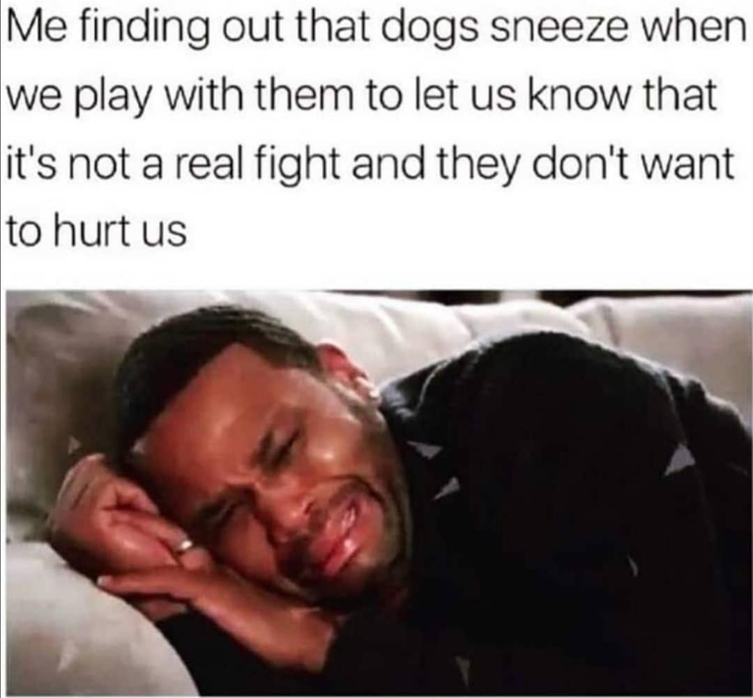 Wholesome memes,  Wholesome Memes Wholesome memes,  text: Me finding out that dogs sneeze when we play with them to let us know that it's not a real fight and they don't want to hurt us 