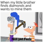 minecraft memes Minecraft, Fortune text: When my little brother finds diamonds and wants to mine them  Minecraft, Fortune
