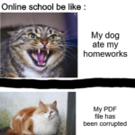 other memes Funny, PDF, PC, Block text: Online school be like : My dog ate my homeworks My PDF file has been corrupted 