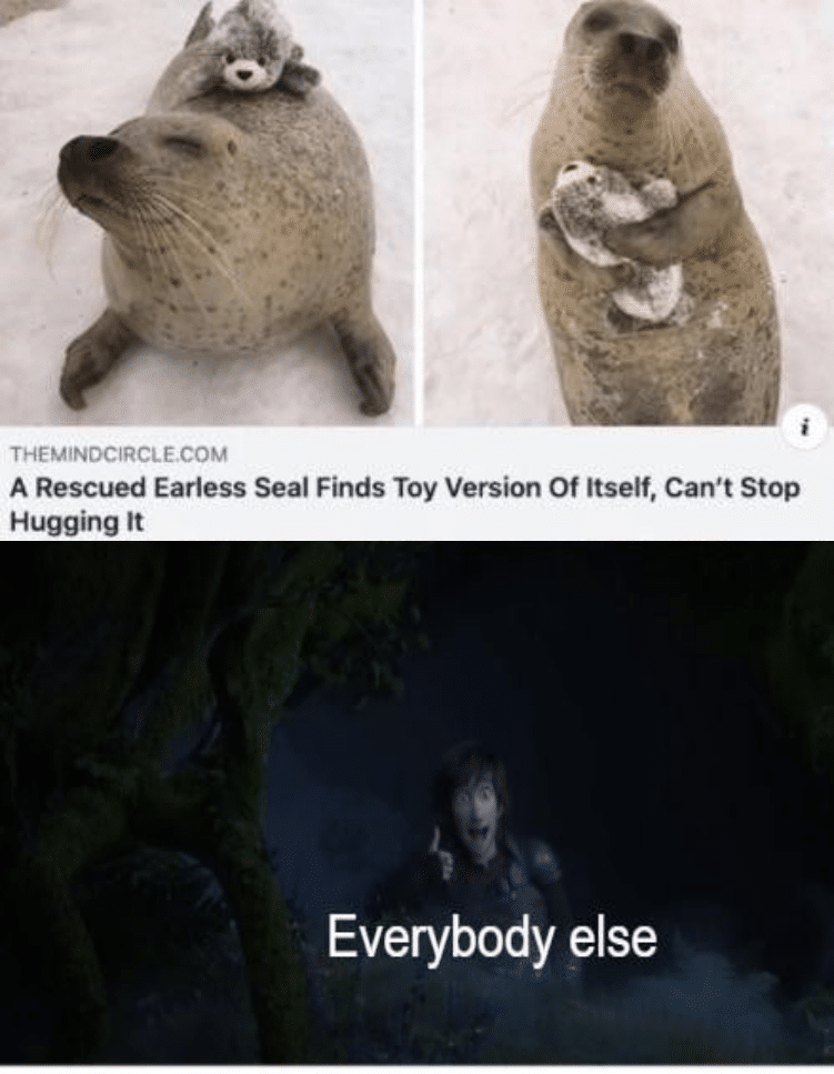 Funny, Adorable other memes Funny, Adorable text: THEM'NDCIRCLE.COM A Rescued Earless Seal Finds Toy Version Of Itself, Can't Stop Hugging It Everybody else 