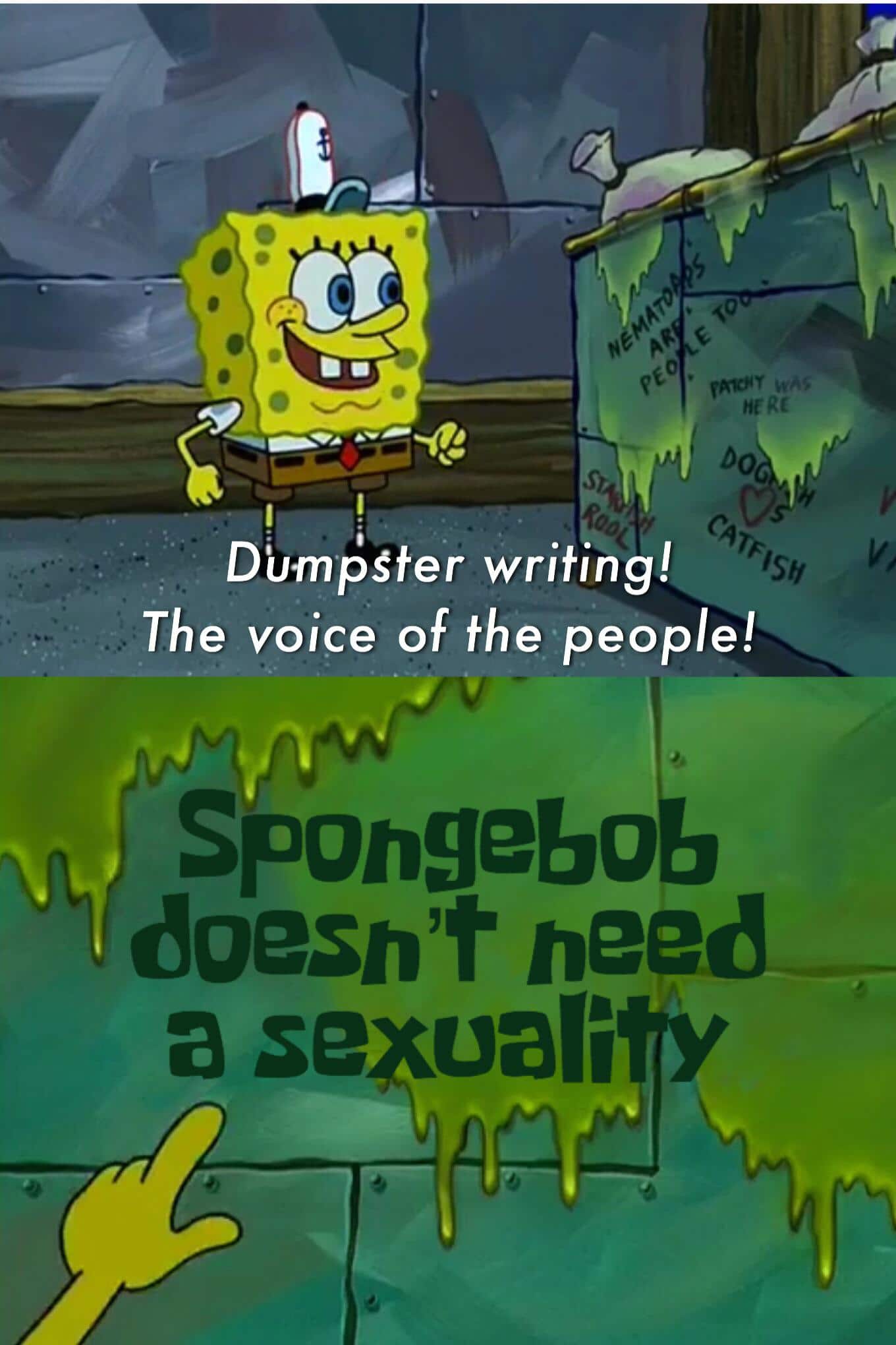 Spongebob, LGBT, SpongeBob, Spongebob, Nickelodeon, Stephen Spongebob Memes Spongebob, LGBT, SpongeBob, Spongebob, Nickelodeon, Stephen text: Dumpster writing! The voice of the people! Spongebo doesn't need a se cali 