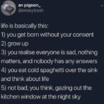 depression memes Depression,  text: an pigeon, , @imskytrash life is basically this: 1) you get born without your consent 2) grow up 3) you realise everyone is sad, nothing matters, and nobody has any answers 4) you eat cold spaghetti over the sink and think about life 5) not bad, you think, gazing out the kitchen window at the night sky  Depression, 
