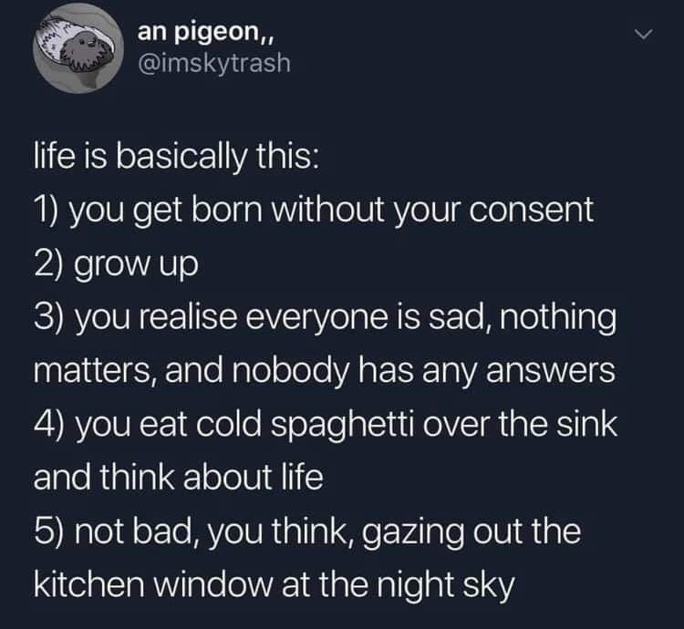Depression,  depression memes Depression,  text: an pigeon, , @imskytrash life is basically this: 1) you get born without your consent 2) grow up 3) you realise everyone is sad, nothing matters, and nobody has any answers 4) you eat cold spaghetti over the sink and think about life 5) not bad, you think, gazing out the kitchen window at the night sky 