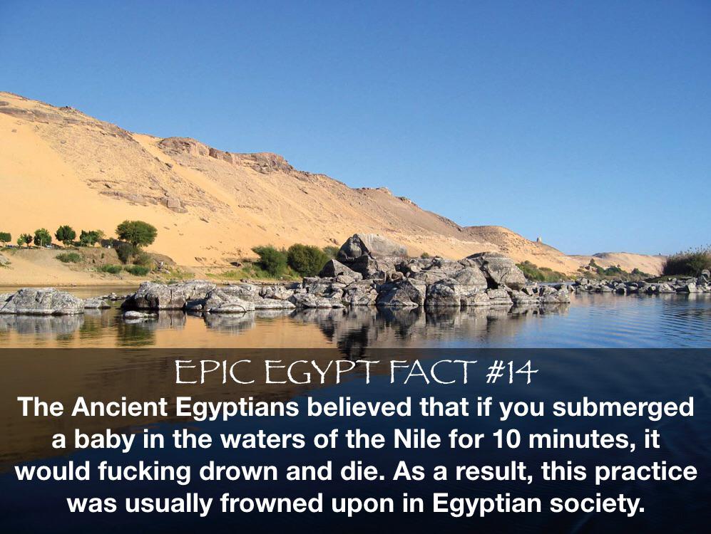 History, Egyptian, God, Egyptians, Sam, Prager History Memes History, Egyptian, God, Egyptians, Sam, Prager text: e PIC The Ancient Egyptians believed that if you submerged a baby in the waters of the Nile for 10 minutes, it would fucking drown and die. As a result, this practice was usually frowned upon in Egyptian society. 